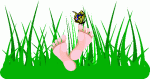 Butterfly on feet