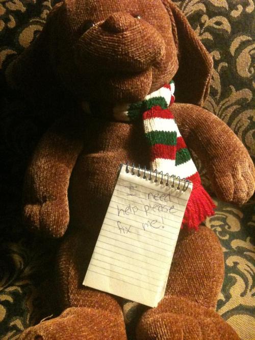 I have taken a vow of silence -- batteries not included.