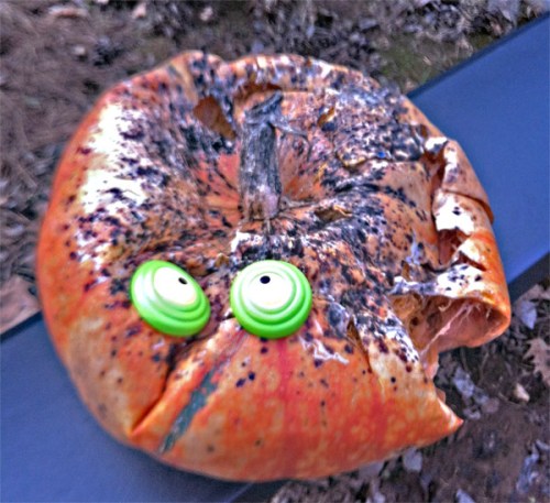 The Adherent was advised of the absurdity in believing everything the administration was saying. But the adherent's admiration knew no bounds, and then he became an abomination and received the highest compliment: an admonition from those he admired.