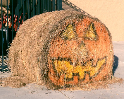 Happy Bale-o-ween or is that Straw-o-latern?