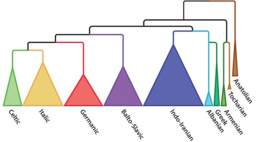 More than 400 Indo-European languages diverged from a common ancestral tongue; the earliest ones (top right), Anatolian and Tocharian, arose in today’s Turkey and China, respectively.