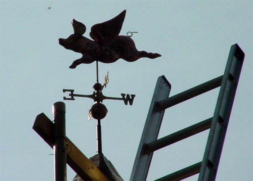 Whichever way the weekend blows, it can only be better than the week.