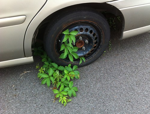 This is what happens when you've been stuck in a rut so long: the rut gets stuck on you.