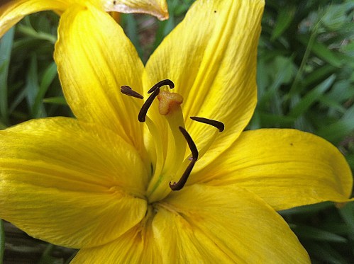 "Oh, please, don't pick me."