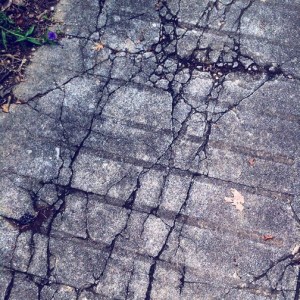 The road sometimes traveled.