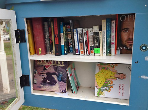 Thank you to all those who have helped to keep the Little Free Library in my neighborhood going.