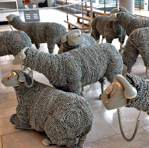 Ewe can dial a friend.