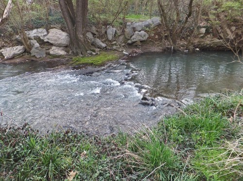 A creek in early Spring.