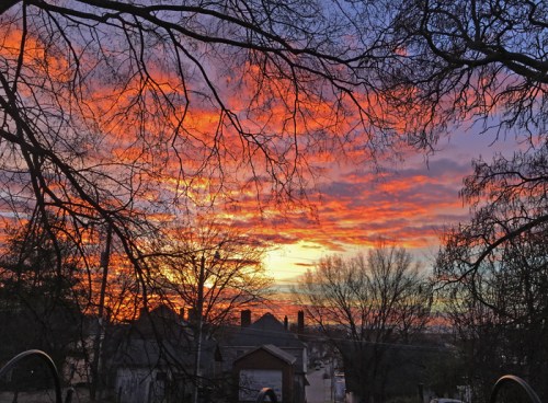 Morning in the neighborhood.