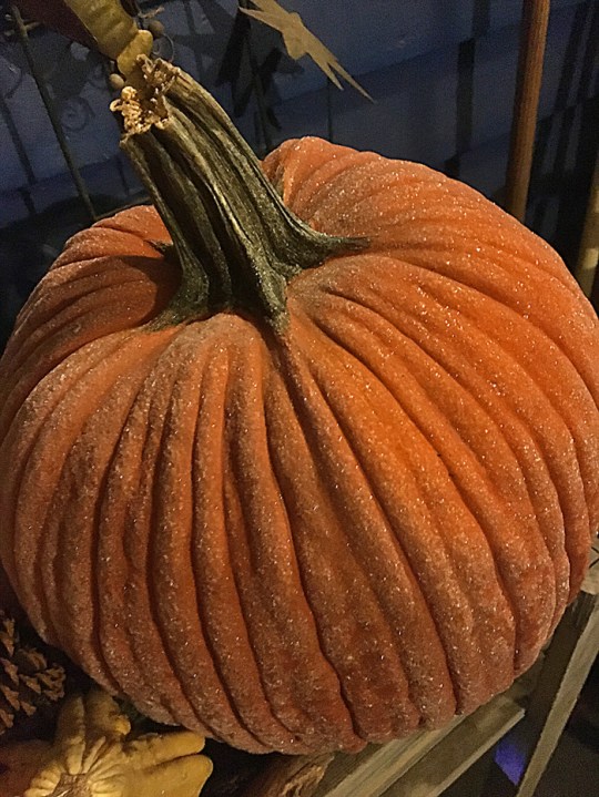 Pumpkin_frosty 100dpi_7x9_4c_4232 copy