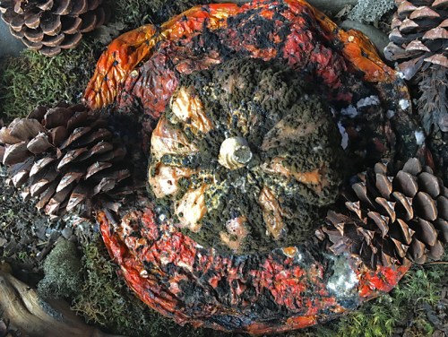 Rotten_Decay 100dpi_8x6_4c_4612 copy