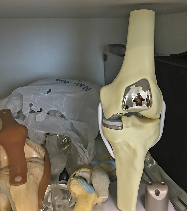 2018_faux knee 100dpi_6x7_4c_5198 copy