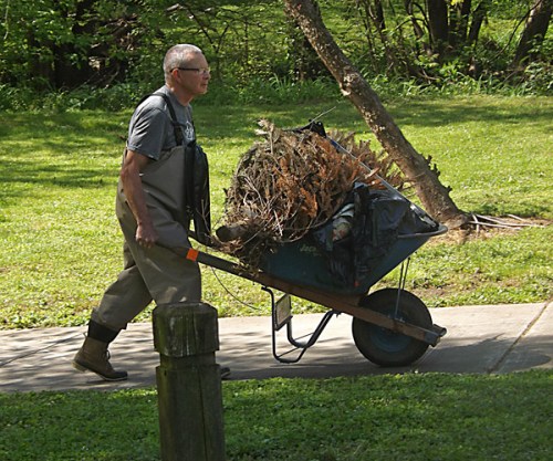 2018_Cheatham 100dpi_6x5_4c_2018-04-28011.26.53 copy