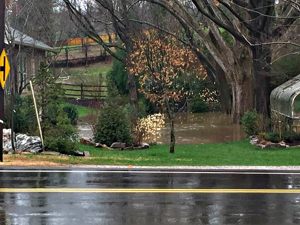 Rain and rising water